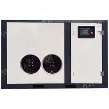 Винтовой компрессор GMP GM 55-40VSD TW — фото 3